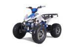 Tao Tao Cheetah Platinum Children's ATV, 4-Stroke 125cc