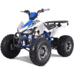 Tao Tao Cheetah Platinum Children's ATV, 4-Stroke 125cc