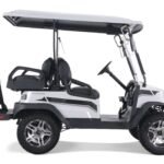 Tao Champ Electric Golf Cart