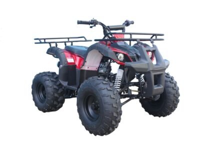 Tao Tao T-Force 125 Children's ATV, 4-Stroke 125cc
