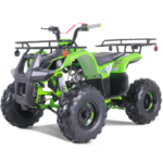 Tao Tao T125 Children's ATV, 4-Stroke 125cc