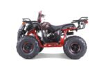 Tao Tao T125 Children's ATV, 4-Stroke 125cc