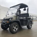 Trailmaster Taurus 200GV Golf Cart