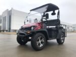 Trailmaster Taurus 200GV Golf Cart