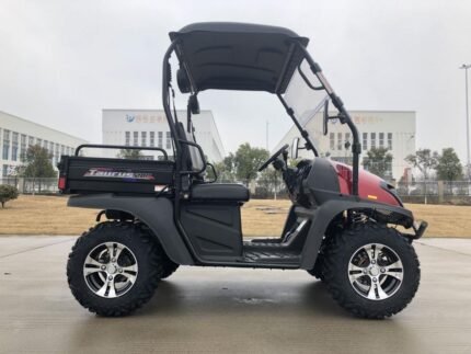 TrailMaster Taurus 200U EFI UTV