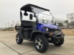 TrailMaster Taurus 200U EFI UTV