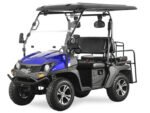 Trailmaster Taurus 200GX Golf Cart
