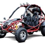 Dongfang Jaguar Adult Go-Kart Buggy DF200GKA, Big Bore 200 PowerStroke