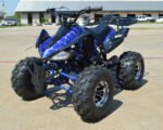 Tonga DX 125 Sport Children's ATV-8", 4-Stroke 125cc