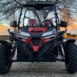 Trailmaster Cheetah 300EX EFI Adult Go-Kart Buggy