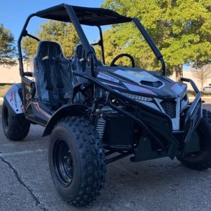Trailmaster Cheetah 300E EFI Adult Go-Kart Buggy