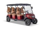 Solana XA 6P Electric Golf Cart