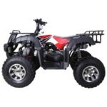 Tao Tao Bull 200S Adult Quad ATV