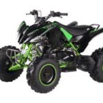 Pentora 200 EFI Sport Adult ATV