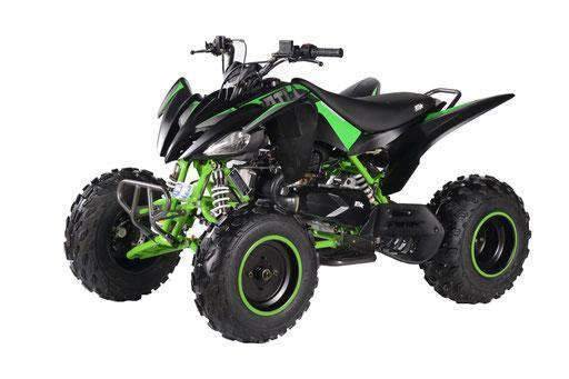image_13_48120e86-54da-4be8-a462-c1afa5ee784b.jpg Pentora 200 EFI Sport Adult ATV