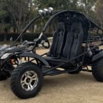 Jaguar 200 EFI Adult Go Kart Buggy