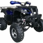 Warrior 200 Adult Quad ATV