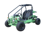 Tao Tao GK110 Children's Go-Kart Buggy, 110cc 4 Stroke