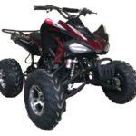 Cougar 200 Sport Adult Quad ATV