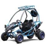 Dongfang PGO 200GVS Children's Go-Kart Buggy, 4-Stroke 196cc