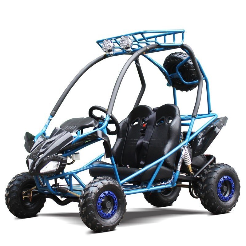 pgo.jpg Dongfang PGO 200GVS Children's Go-Kart Buggy, 4-Stroke 196cc