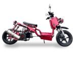 Icebear Maddog 150 Scooter (1st Generation)