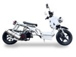 Icebear Maddog 150 Scooter (1st Generation)