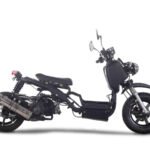 Icebear Maddog 50 Scooter (1st Generation)