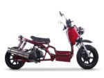 Icebear Maddog 50 Scooter (1st Generation)