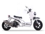 Icebear Maddog 50 Scooter (1st Generation)