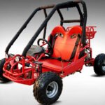 TK110GK-2 Children's Go-Kart Buggy, 110cc 4 Stroke