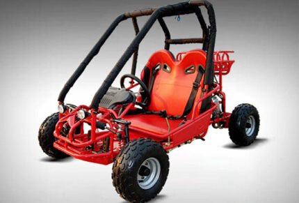 Pre-Teen 110cc Go- Kart Engine