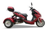 Icebear Trifecta 150 Trike