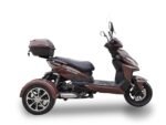Icebear Mojo 50 Trike