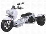 Icebear Maddog 150cc GY6 Trike Engine (Long Case)