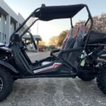 Trailmaster Cheetah 300EX EFI Adult Go-Kart Buggy