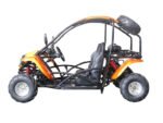 T-Rex 125 Children's Go-Kart Buggy, 125cc 4 Stroke