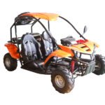 T-Rex 125 Children's Go-Kart Buggy, 125cc 4 Stroke