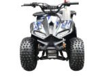 RXR 110 Mini Sport Children's ATV-7", 4-Stroke 110cc