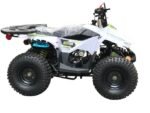 RXR 110 Mini Sport Children's ATV-7", 4-Stroke 110cc