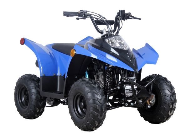 unnamed_281_29.jpg RACER 110 Children's ATV-6", 4-Stroke 110cc