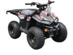 RXR 110 Mini Sport Children's ATV-7", 4-Stroke 110cc