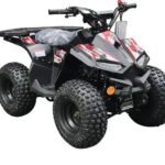 RXR 110 Mini Sport Children's ATV-7", 4-Stroke 110cc