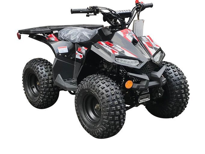 unnamed_288_29-1.jpg RXR 110 Mini Sport Children's ATV-7", 4-Stroke 110cc