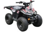 RXR 110 Mini Sport ATV 110cc Engine