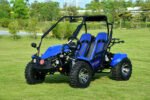 Venture 200 EFI Adult Go Kart Buggy