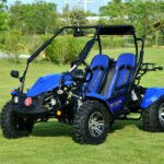 Venture 200 EFI Adult Go Kart Buggy