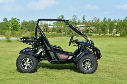 Venture 200 EFI Adult Go Kart Buggy