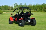 Venture 200 EFI Adult Go Kart Buggy