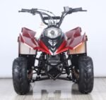 RACER 110 Children's ATV-6", 4-Stroke 110cc